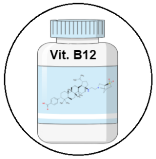 NIEDOBÓR WIT. B 12, B 6